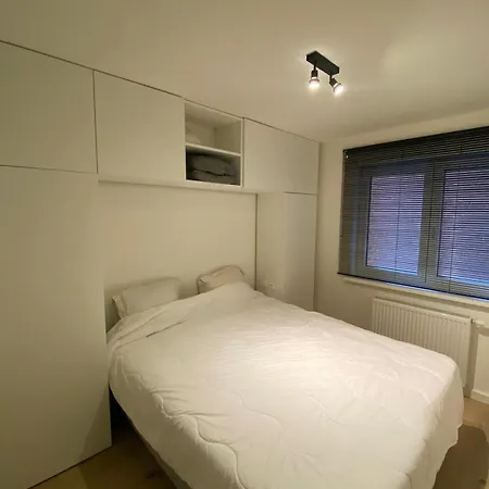 Sunny Bells 0102 R-141